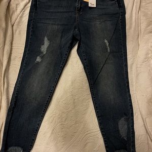 lane Bryant Stretchy like new distressed jeans size 16
